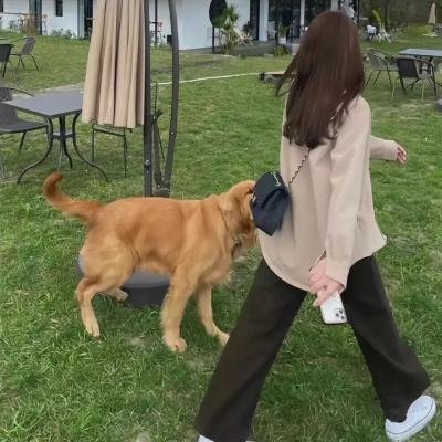 顾盼生香